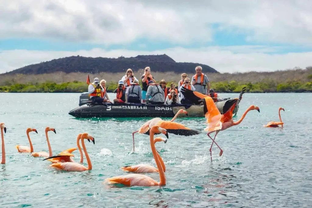 Why Choose Luxury Galapagos Islands Tours